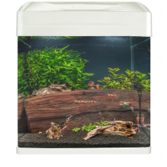 Fishkeeper MyQuarium White 16L