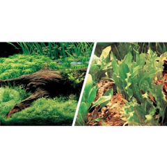 Aquarium Background - 46cm 18" Japanese Aquascape/Driftwood