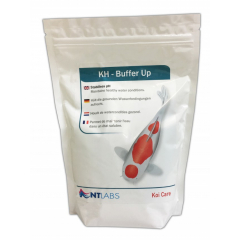 A packet of NT Labs Buffer up treatment.