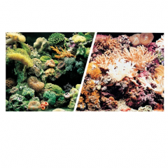 Aquarium Background - Marina 30cm 12 Marine Reef / Old Coral Background Per Foot