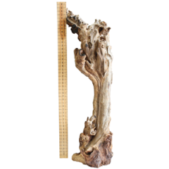 Aquarium wood - Mojo Wood Medium, Long 35-50cm