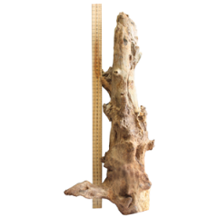 Aquarium wood - Mojo WOod Large, Long 50-70cm