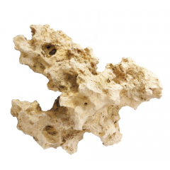 Aquarium Rock - Ocean Rock