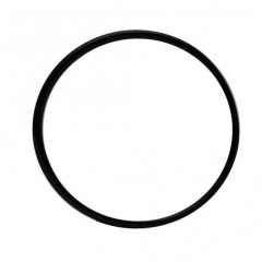 Laguna Pressure-Flo UVC Head O-Ring (PT1530)