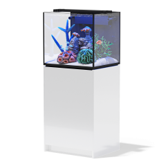 Aqua Marin 600 Pro Aquarium, Sump & Cabinet - Gloss White