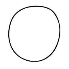 Laguna Pressure-Flo Lid Sealing O-Ring 