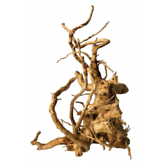 Aquarium wood - Redmoor Wood 40-60cm