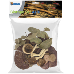 Superfish Biotope Set Asia