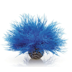 Biorb Aquatic Sea Lily - Blue
