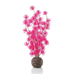 BiOrb Bonsai Ball - Pink