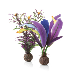 BiOrb Parrots Feather