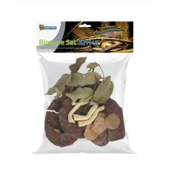 Superfish Biotope Set - Betta