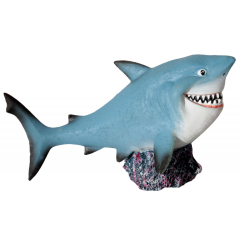 AquaOne - Shark