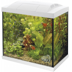 Superfish Start 50 Tropical Aquarium - White