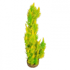 AquaManta Gravel Base Artificial Plant - Yellow Green Fern (30cm)