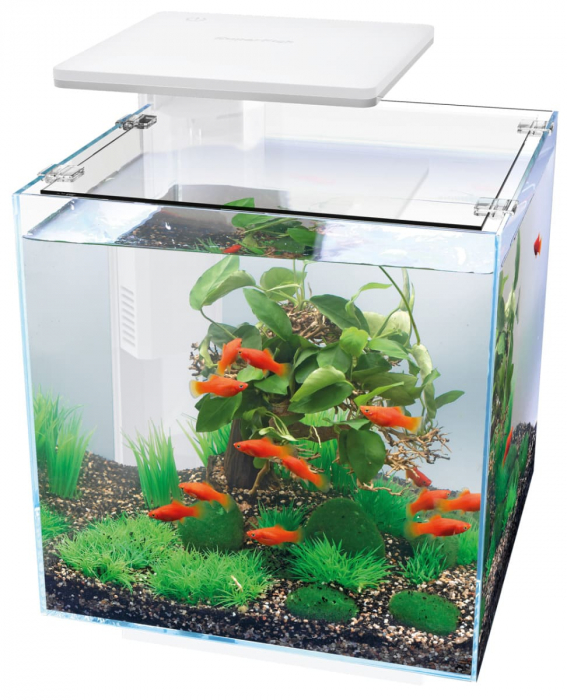 Fish tank on sale price online