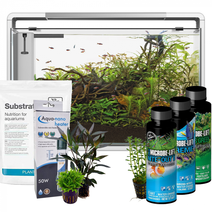 live plants aquarium online