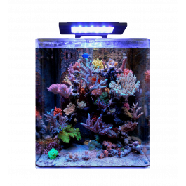 Blue Marine Reef 60 Aquarium Maidenhead Aquatics