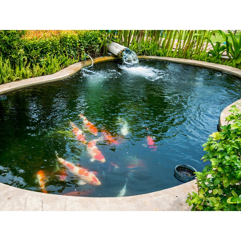 Koi Pond Pumps