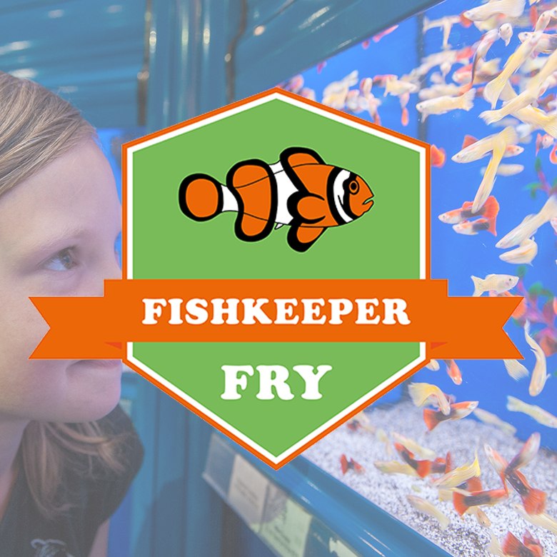 Fishkeeper Fry