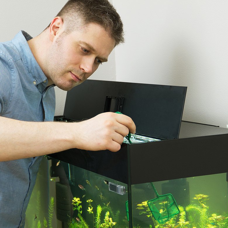 First Time Fishkeeper