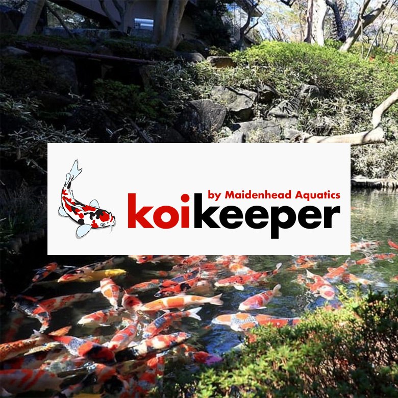 Koikeeper.co.uk