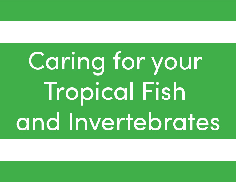 caring for your tropical fish and invertebrates