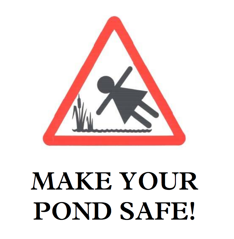 pond-safety-1458580009.png