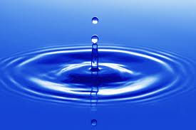 Freshwater store aquarium water