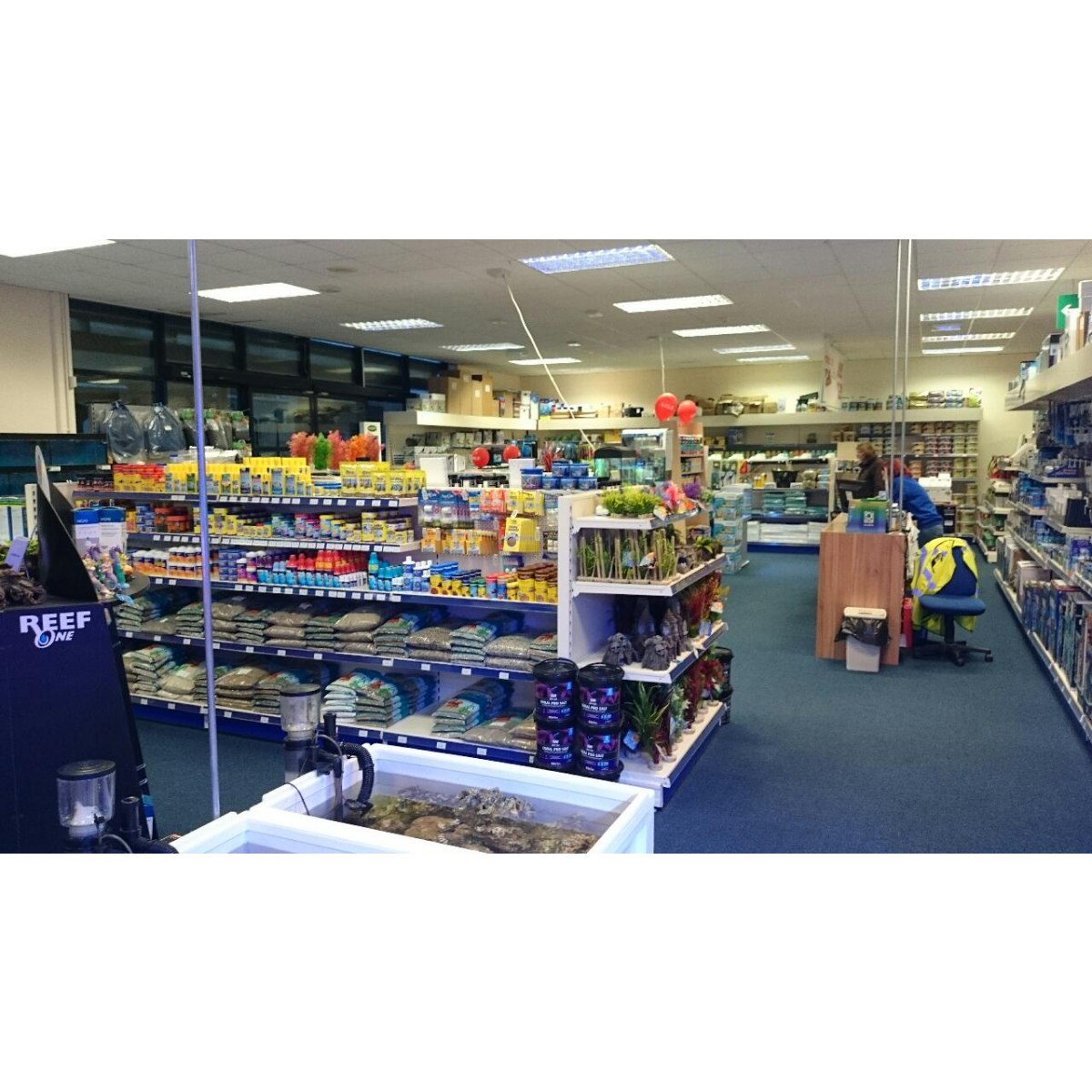 Kidderminster Maidenhead Aquatics