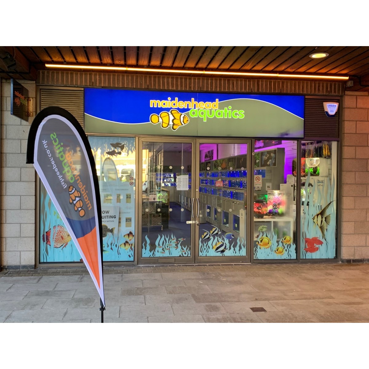 Brighton Marina Fishkeeper