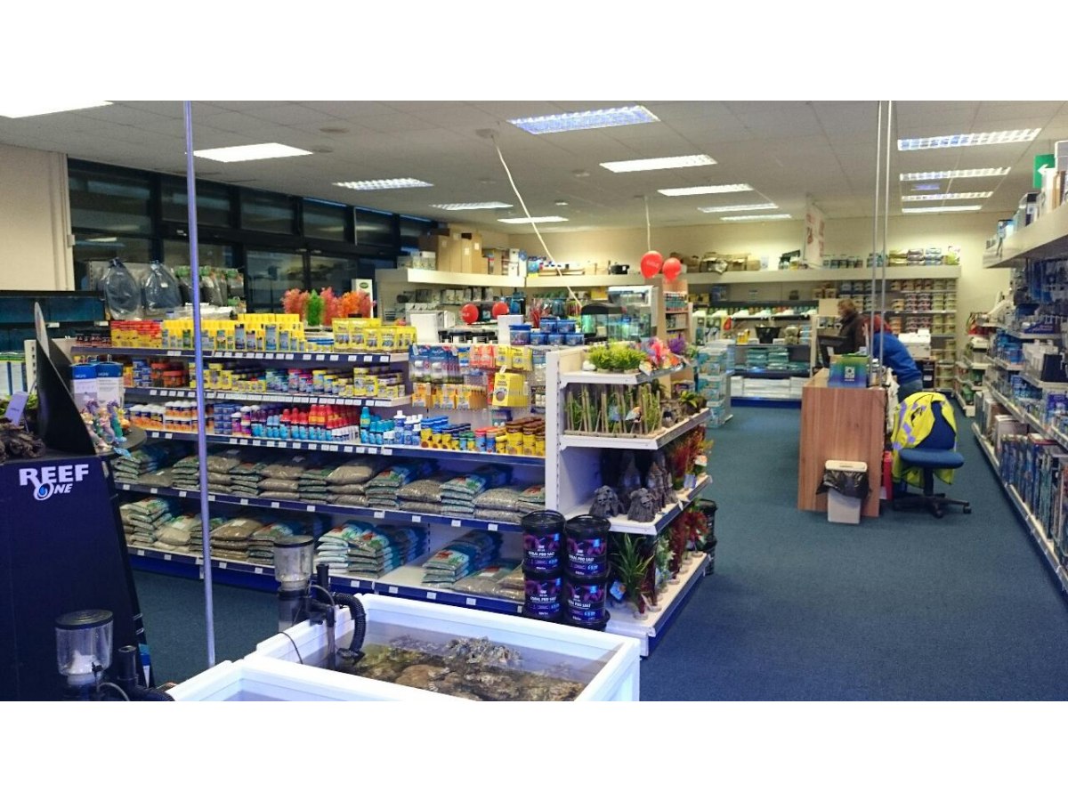 Kidderminster Maidenhead Aquatics