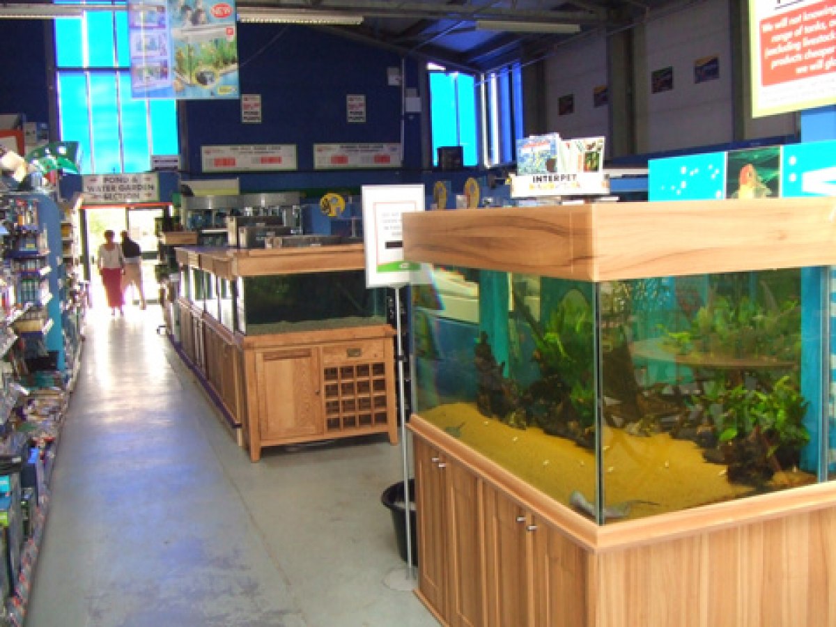 Melksham Maidenhead Aquatics