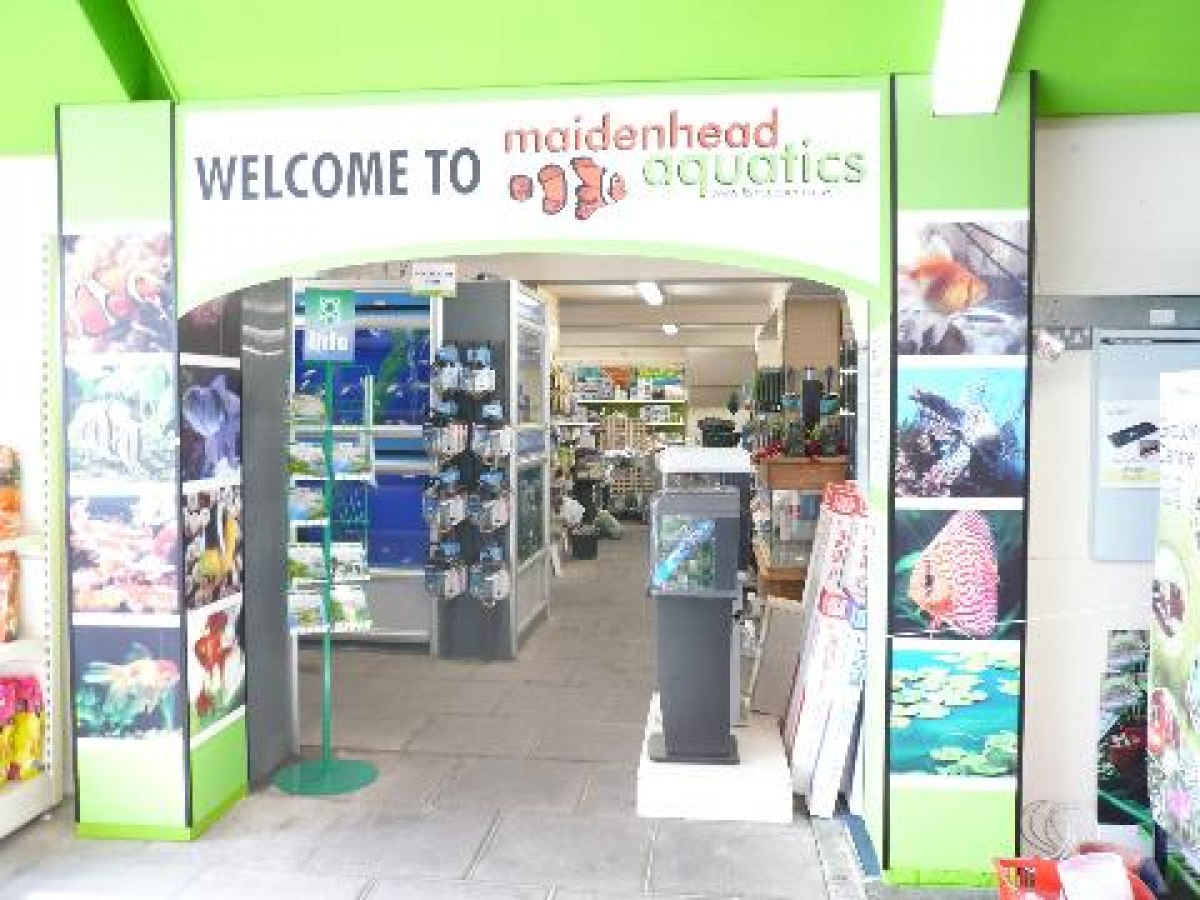 Moreton Park Maidenhead Aquatics