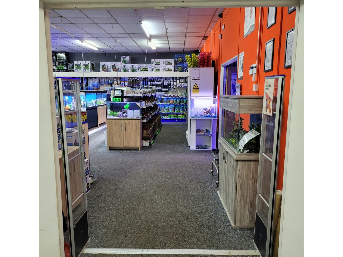 Bristol Maidenhead Aquatics