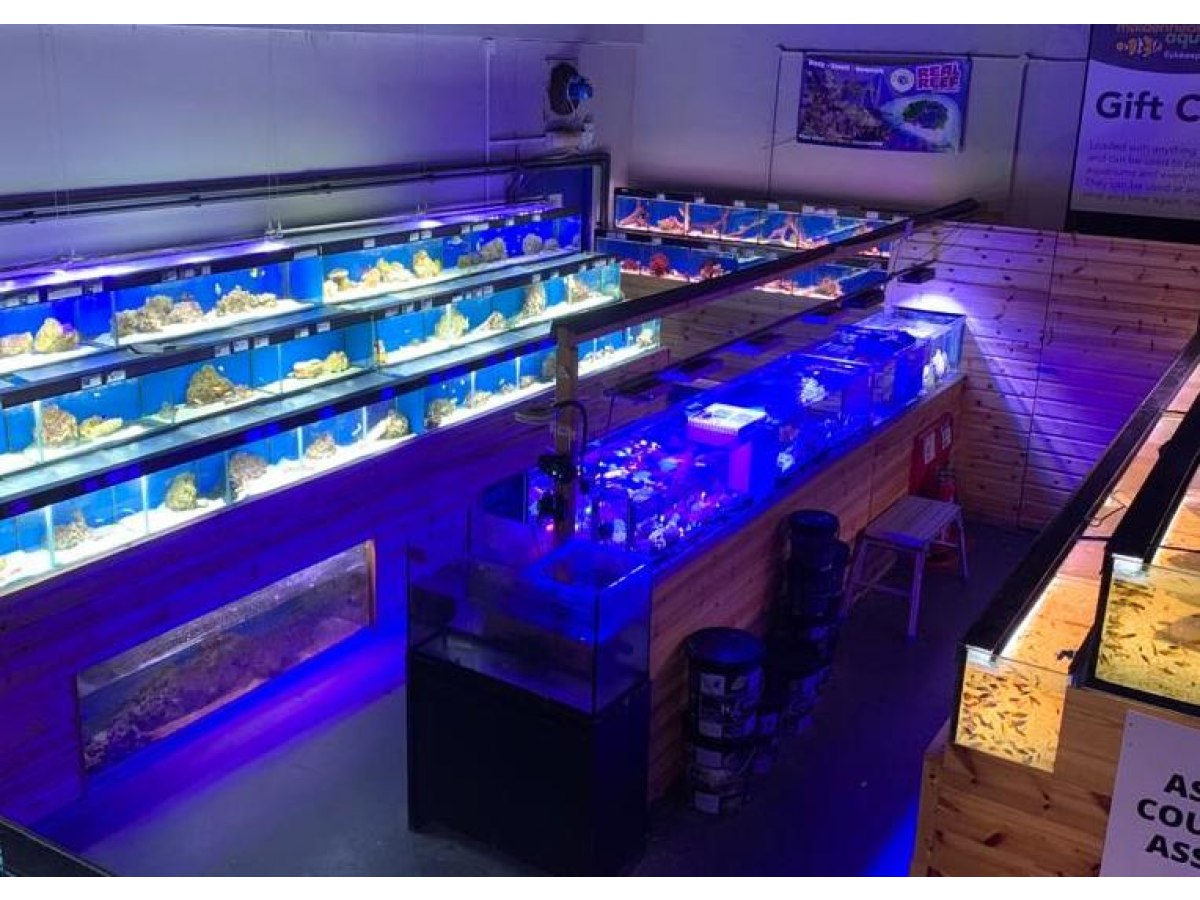 Coventry Maidenhead Aquatics