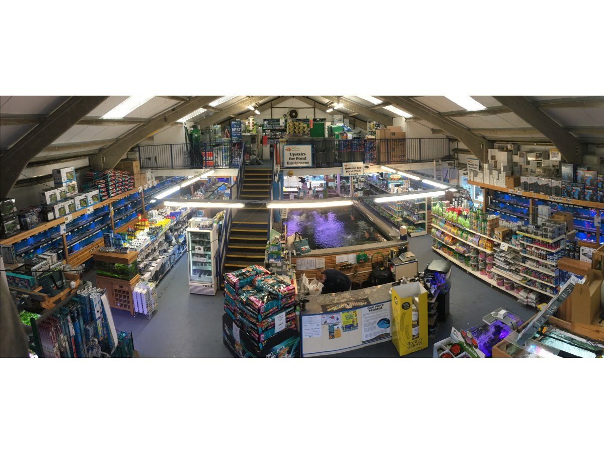 Polhill Maidenhead Aquatics