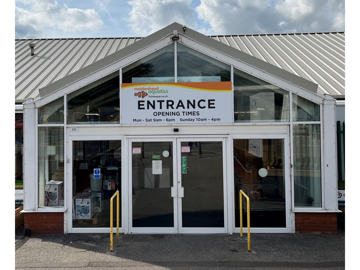 St Albans Maidenhead Aquatics