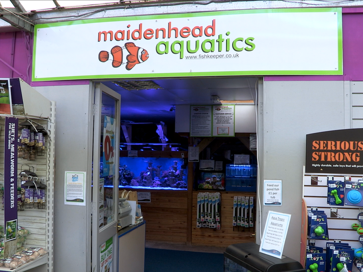 Trowell Maidenhead Aquatics