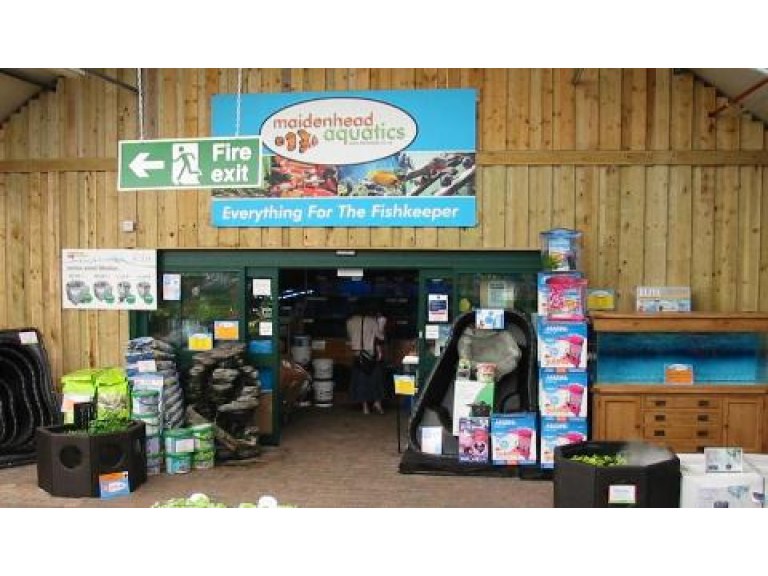 Sanders Maidenhead Aquatics