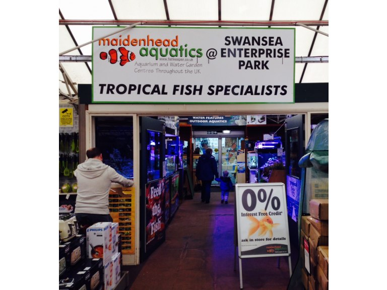 Swansea Enterprise Park Maidenhead Aquatics