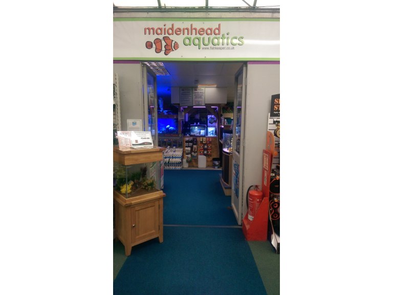 Trowell Maidenhead Aquatics