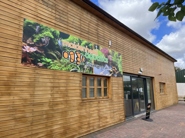 StratforduponAvon Maidenhead Aquatics