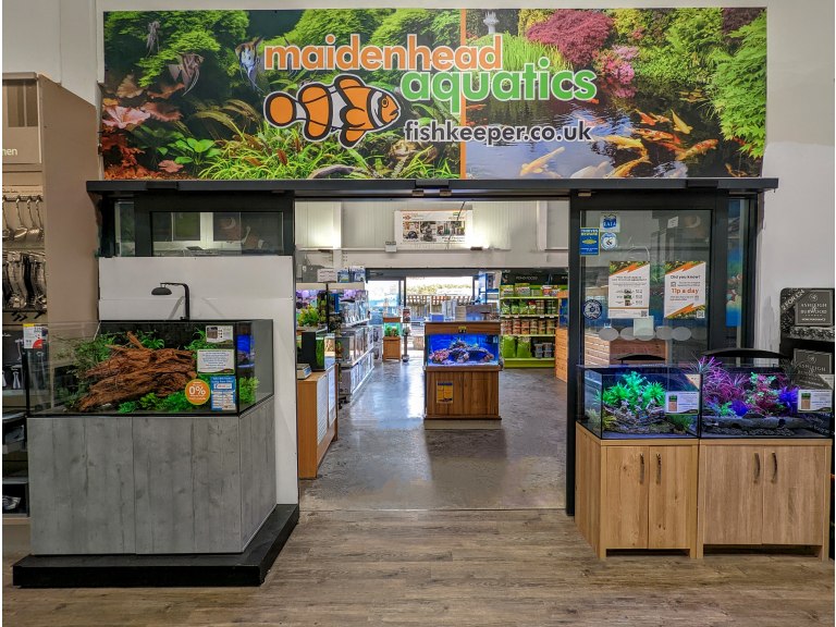 StratforduponAvon Maidenhead Aquatics