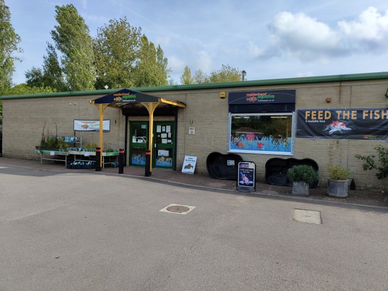 Swindon Maidenhead Aquatics