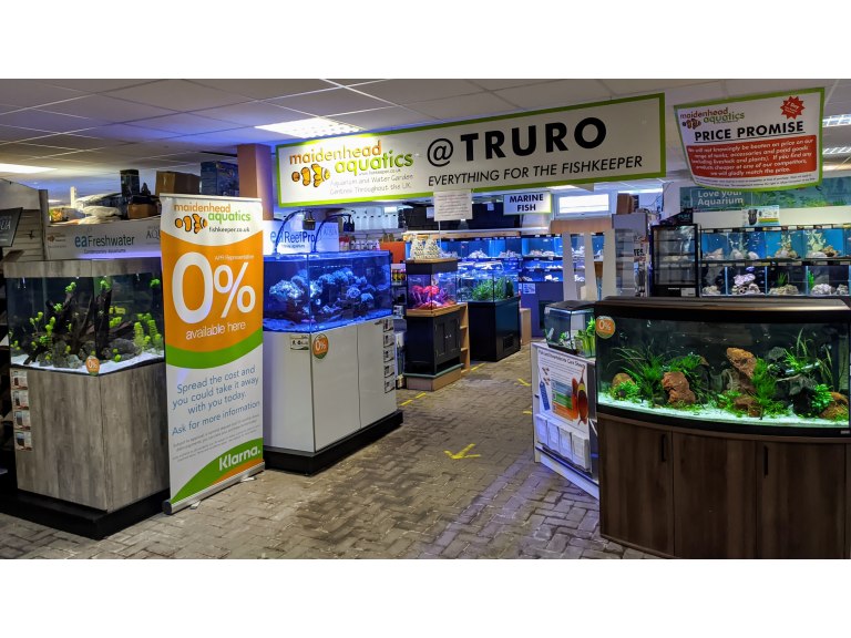 Truro Maidenhead Aquatics