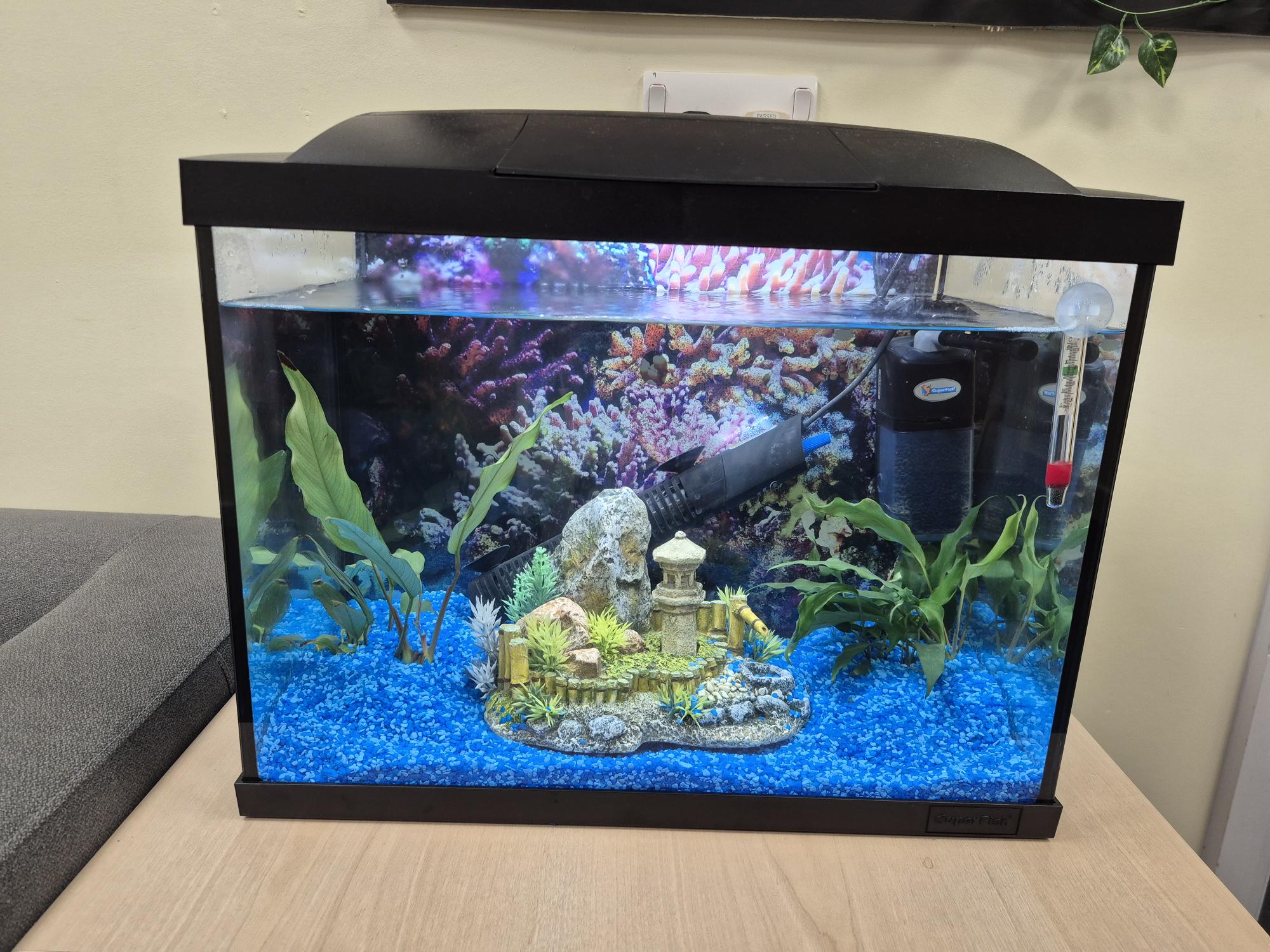 Leverton Church of England Academy