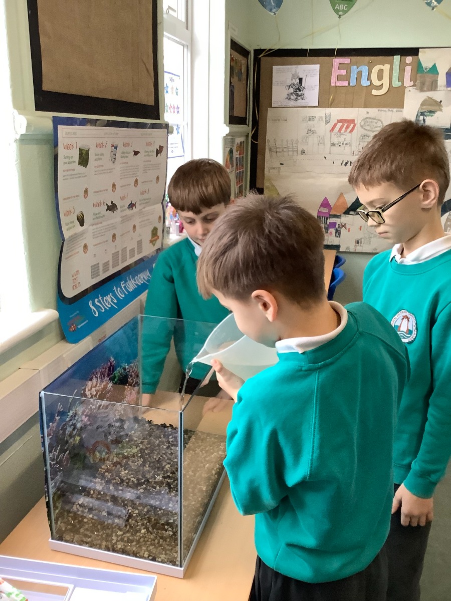 Otterburn Primary School students setting up their tank - Fishkeeper Fry 2025