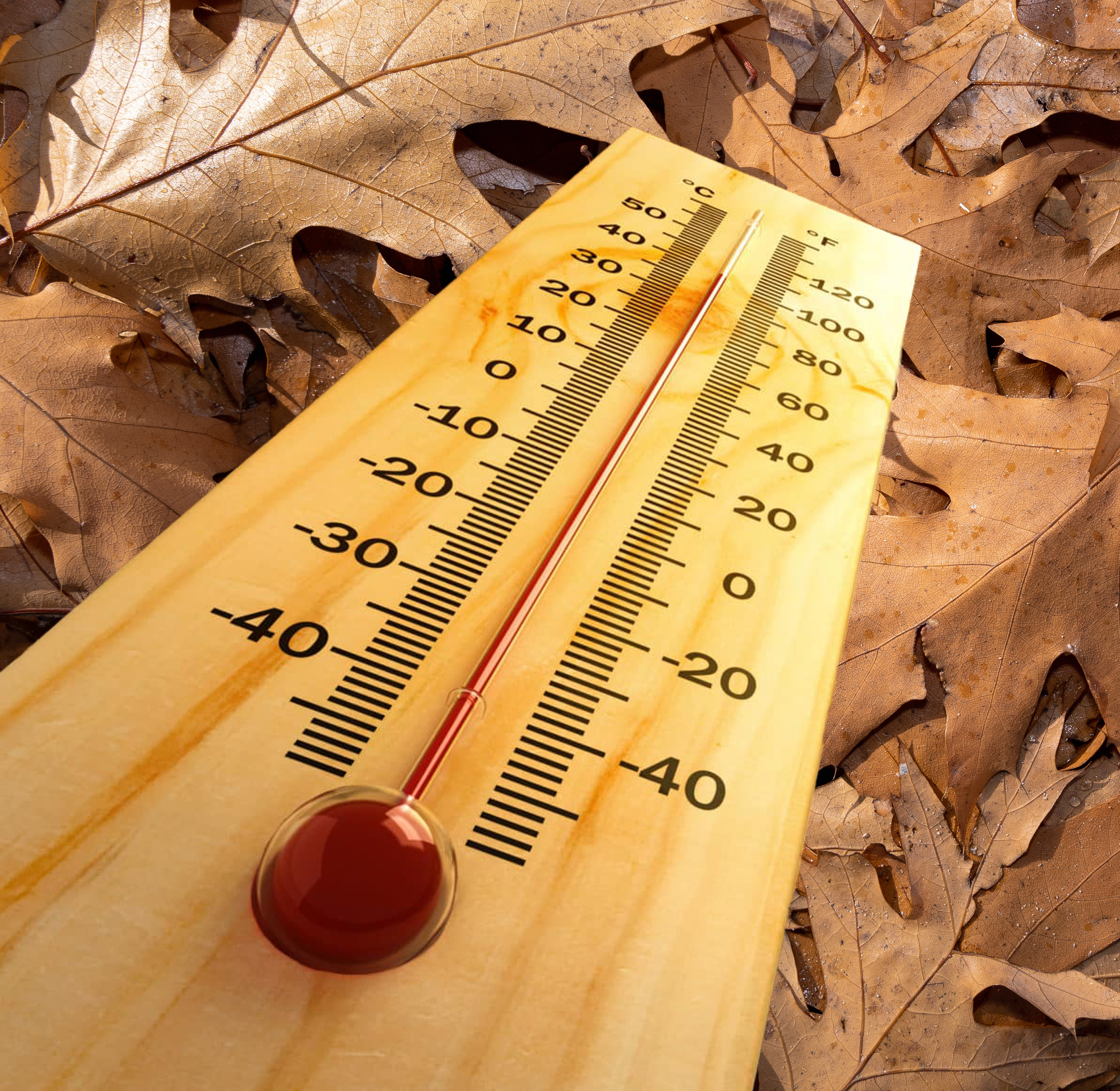 Falling temperatures = behavioural shifts in fish