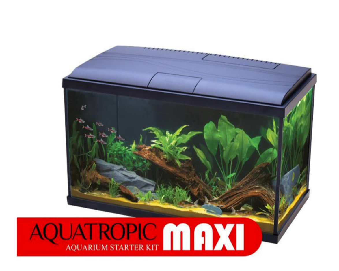 AquaTropic Start - Maxi